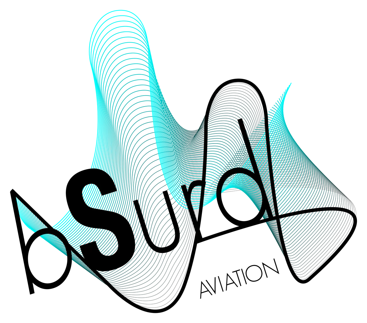 bSurd Aviation logo